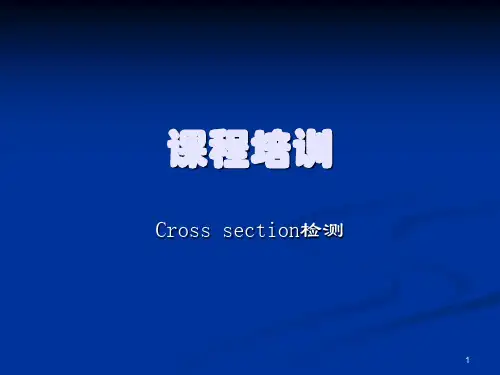 金相切片流程ppt课件