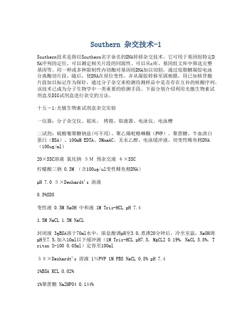 Southern 杂交技术-1