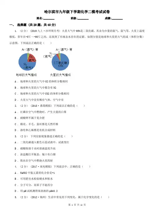 哈尔滨市九年级下学期化学二模考试试卷