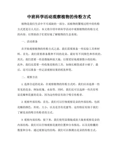 中班科学活动观察植物的传粉方式