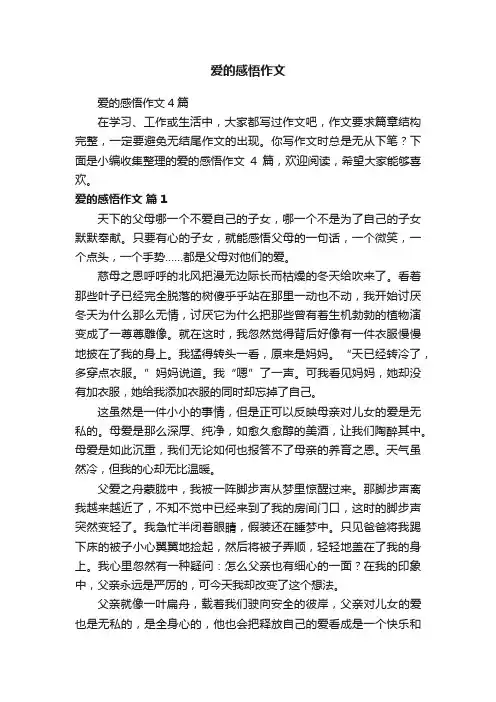 爱的感悟作文4篇