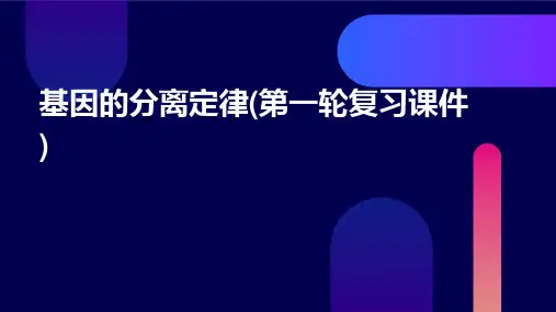 基因的分离定律(第一轮复习课件)