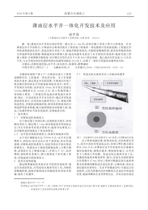 薄油层水平井一体化开发技术及应用