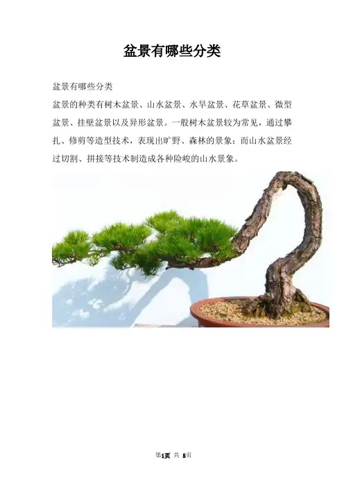 盆景有哪些分类