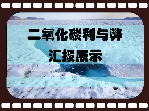 二氧化碳对生活和环境的影响PPT课件