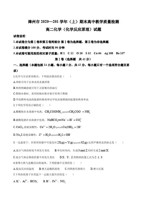福建省漳州市2020-2021学年高二上学期期末考试化学试题