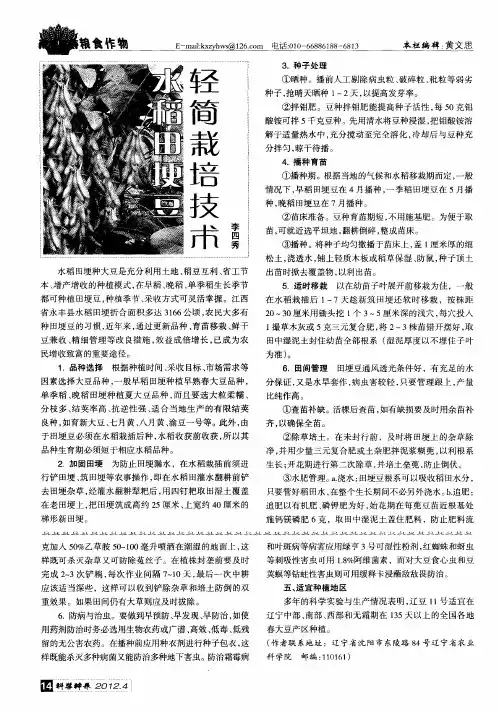 水稻田埂豆轻简栽培技术