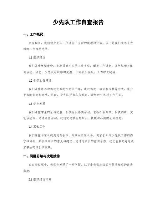 少先队工作自查报告