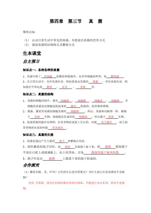 人教版生物八年级上册第四章第三节真菌