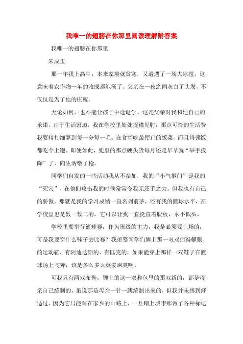 我唯一的翅膀在你那里阅读理解附答案