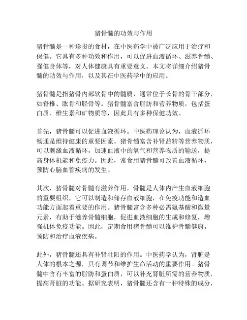 猪骨髓的功效与作用