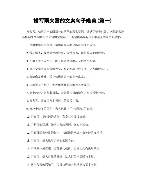 描写雨夹雪的文案句子唯美(精选合集2篇)