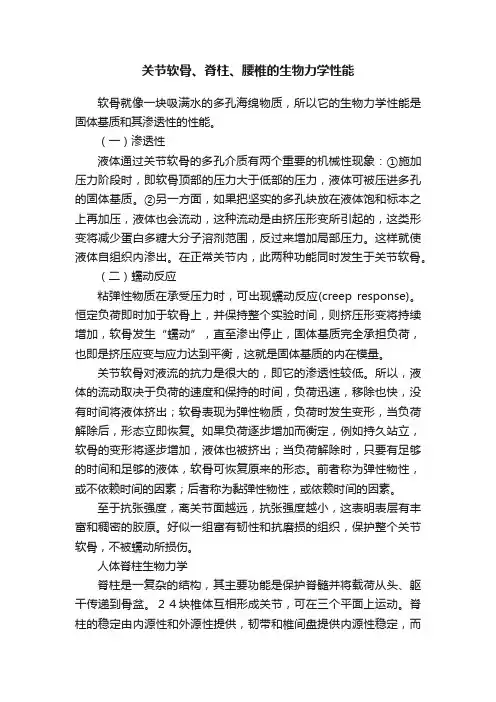 关节软骨、脊柱、腰椎的生物力学性能