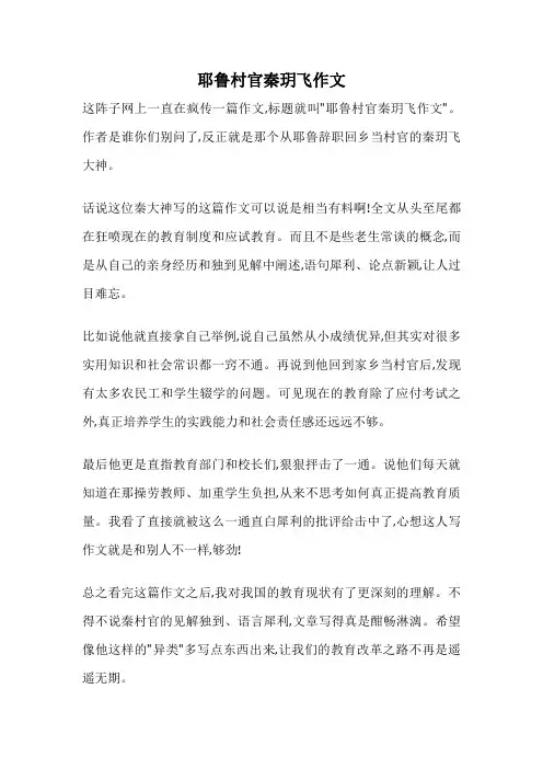 耶鲁村官秦玥飞作文