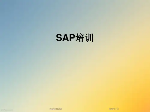 SAP培训