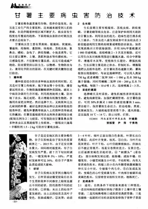 甘薯主要病虫害防治技术