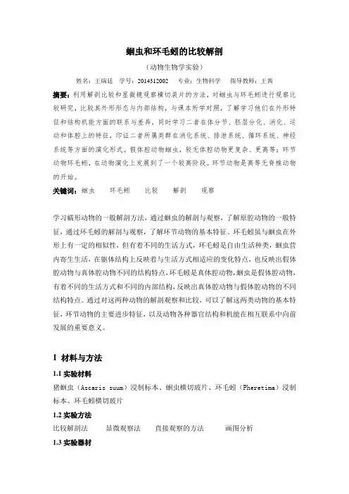蛔虫和环毛蚓的比较解剖论文