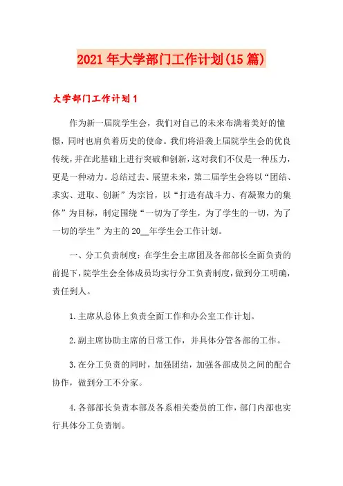 2021年大学部门工作计划(15篇)
