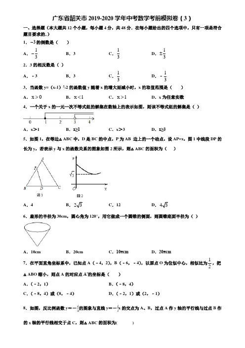 广东省韶关市2019-2020学年中考数学考前模拟卷(3)含解析
