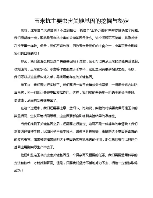 玉米抗主要虫害关键基因的挖掘与鉴定