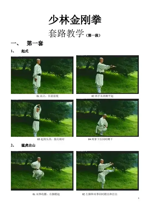 金刚拳套路【第一段】