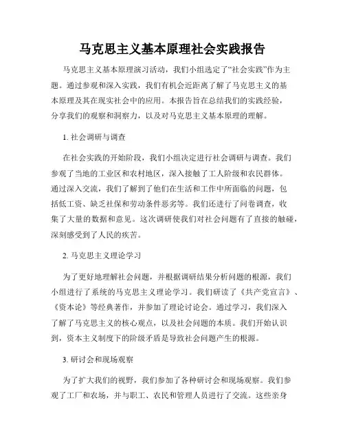 马克思主义基本原理社会实践报告