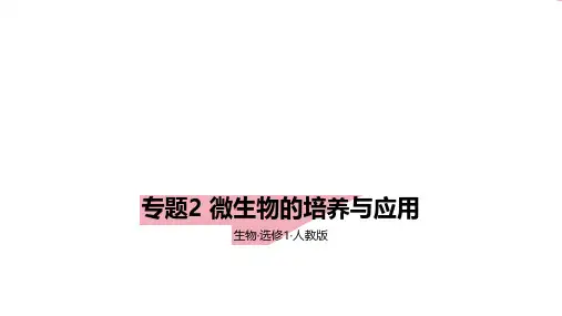 2024年人教版高中生物选修一微生物的培养与应用拓展练+答案