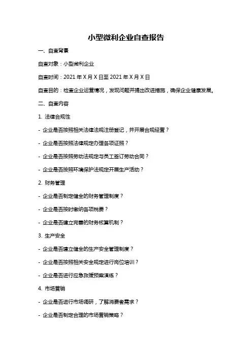 小型微利企业自查报告