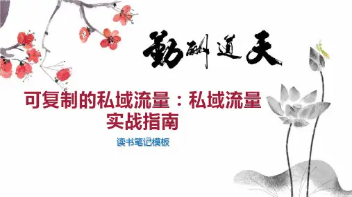 可复制的私域流量：私域流量实战指南