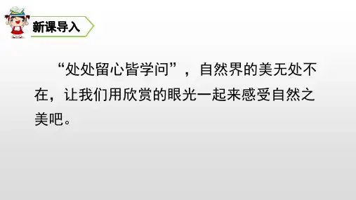 四年级上册语文课件-第三单元9古诗三首(共80张PPT)人教部编版