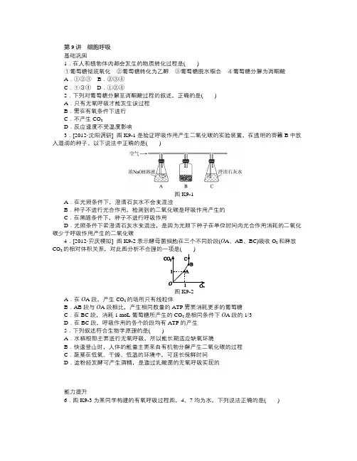 高中生物细胞呼吸(含答案)