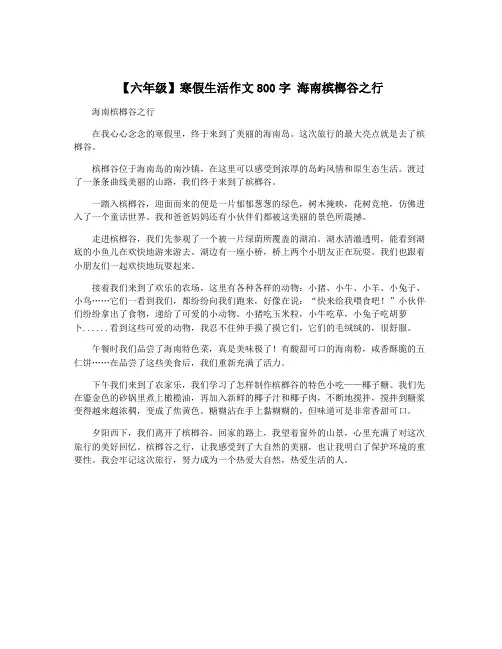 【六年级】寒假生活作文800字 海南槟榔谷之行
