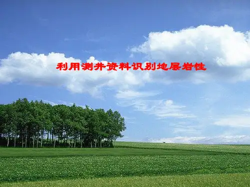 如何根据测井资料识别地层岩性概要