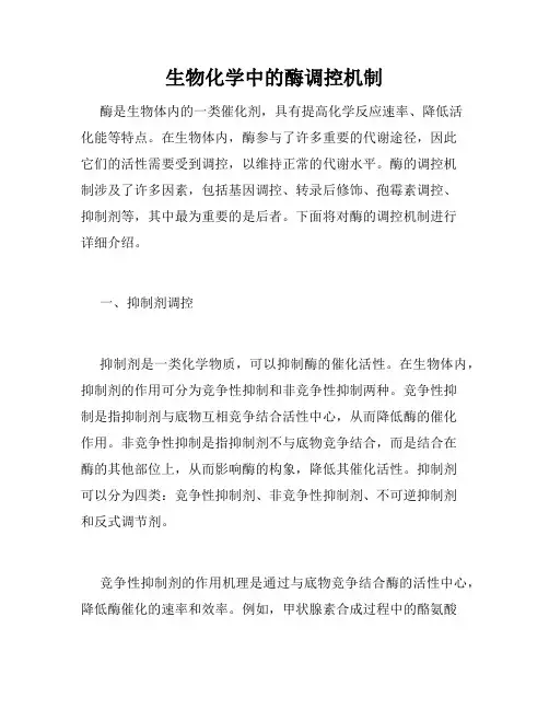 生物化学中的酶调控机制