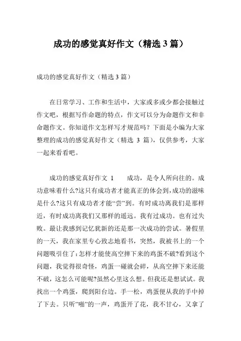 成功的感觉真好作文(精选3篇)
