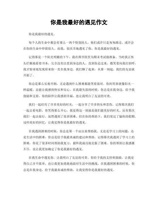你是我最好的遇见作文