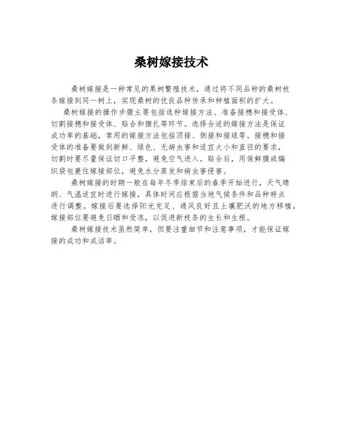 桑树嫁接技术