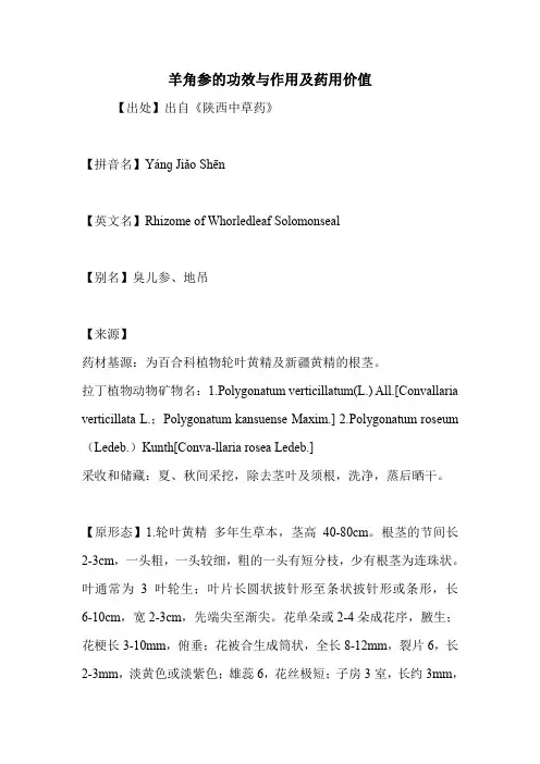 羊角参的功效与作用及药用价值