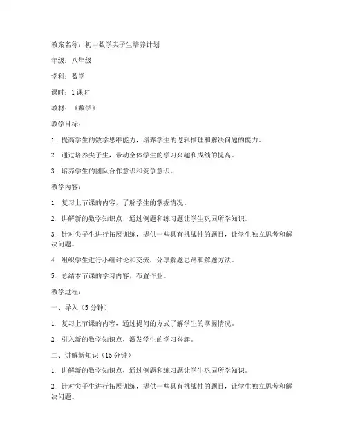 初中数学尖子生教案