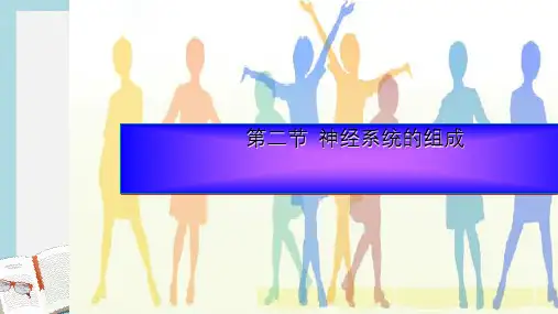 七年级生物下册人教版2神经系统的组成ppt课件