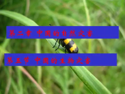 人教版地理选修五课件2.5中国的生物灾害 33