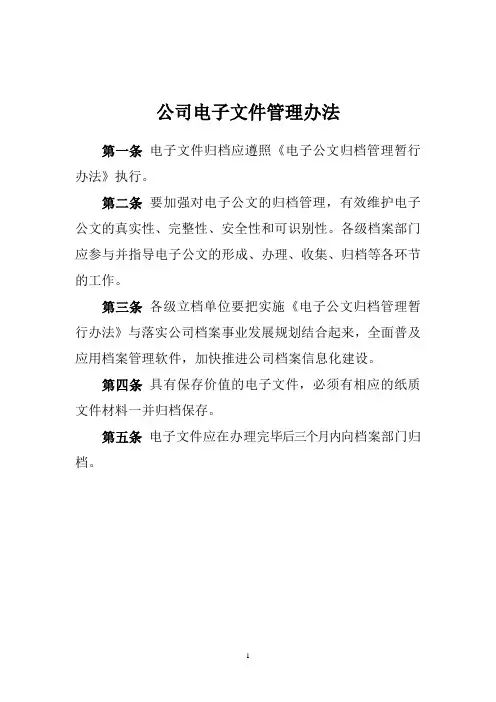 公司电子文件管理办法