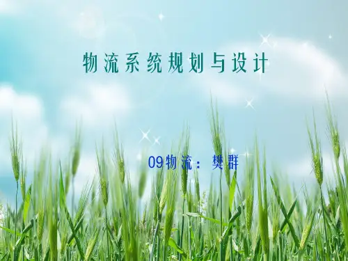 物流发展战略案例分析幻灯片PPT