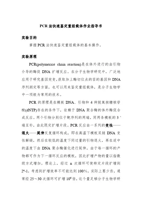 PCR法快速鉴定重组载体作业指导书