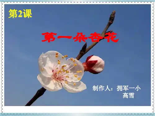 苏教版小学四年级下册语文：《第一朵杏花》