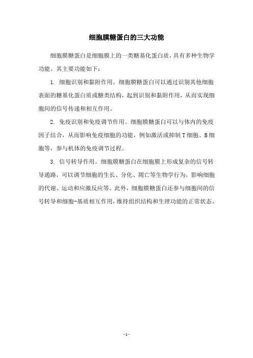 细胞膜糖蛋白的三大功能