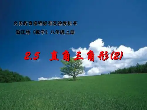 直角三角形(2)