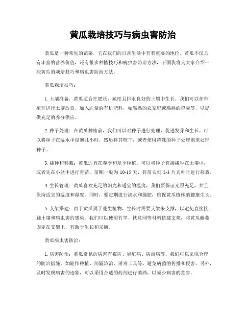 黄瓜栽培技巧与病虫害防治