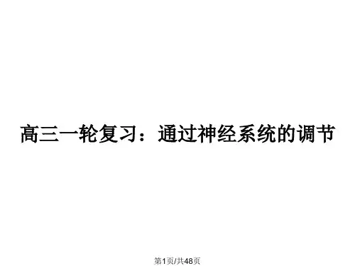 高三一轮复习：通过神经系统的调节PPT教案