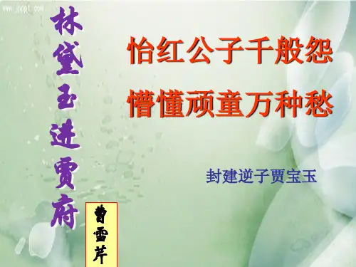 人教版高中语文必修三课件：1 林黛玉进贾府(共20张PPT)